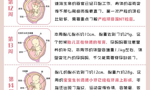 【金奥力软胶囊有什么功效】金奥力是正规牌子吗 - 金奥力主治功能网