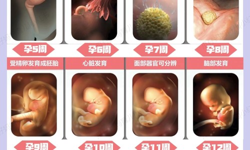 【金奥力软胶囊有什么功效】金奥力是正规牌子吗 - 金奥力主治功能网