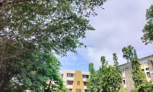 金奥力的功效与作用-【金奥力软胶囊有什么功效】金奥力是正规牌子吗 - 金奥力主治功能网